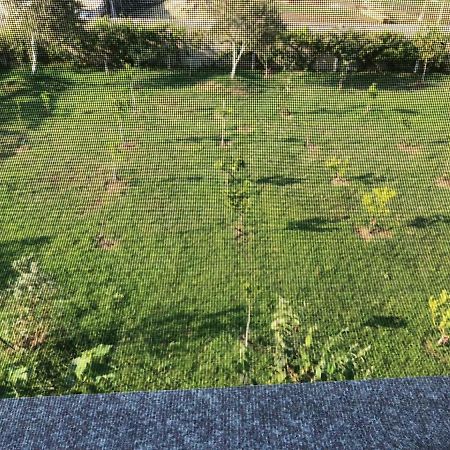 Palma Apartments ドゥラス エクステリア 写真